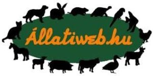 Referencia projekt: Egyedi weboldal készítés és fejlesztés – itid.hu