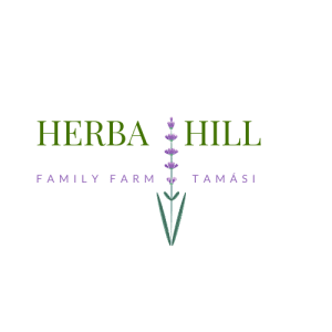 Referencia projekt: Egyedi weboldal készítés és fejlesztés – itid.hu